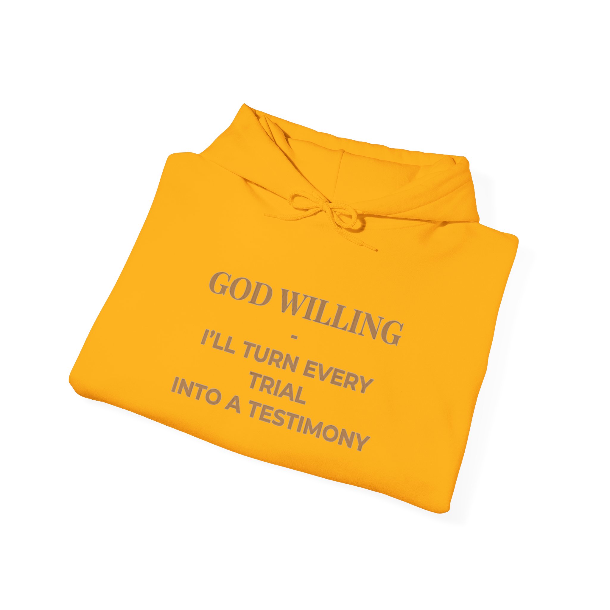 "Testimony"- Hoodie - Image 12